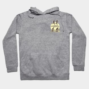 Massapequa Preserve Small Vesion Hoodie